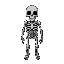 amour skeleton 