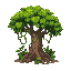 a jungle tree with vines.