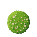 grass 2d with small multicoloured flowers top down
