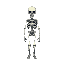 a skeleton