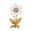 tiny short magical white flower with multicolor dots center and a squiggly stem and different color leaves