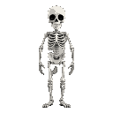 skeleton