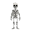 skeleton