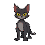 ciborg cat