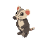 isometric anthropromorphic opossum character 