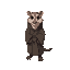 forward facing anthropromorphic opossum character dressed in robes