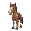 cowboy horsr