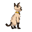 a humanoid shaped siamese cat from the side, static pose, and a yellow band on the neck