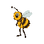 a bee in profile