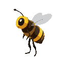 a bee in profile