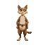 medieval   humanoid cat style  human posture  standing  with a clear walking posture. designed for a retro style farm simulation game.