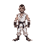 luchador de karate