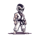 luchador de taekwondo