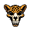 leopard skull only the bones 