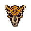 leopard skull