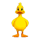 rubber duck main character