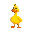rubber duck main character
