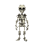 mage skeleton