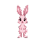 cute pink bunny