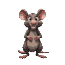 new york rat