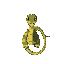 snake seen from above 