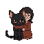 black kitten and his mom