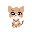kitten
