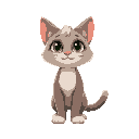 a cat