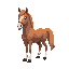 horse 
