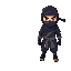 ninja