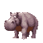 muddy hippo humanoid bipedal