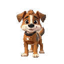 dog builder