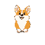 cute lively corgi