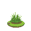 grass