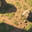 dirt an grass