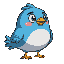 a flappy bird