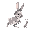 realistic lion head rabbit character. grey and white rabbit with large white spots. on all fours up down left right animations for run, jump stomp, kick and sleep