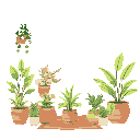 a cozy indoor corner filled with stylized, cheerful houseplants