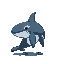 killer whale