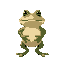 big frog animal