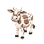 cute farm cow 