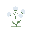  white fuzzy flower heads that look like little tufts of snow. short stalks with a tight cluster of green leaves. simple and wintery.