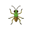 make a pond skater insect, realistic