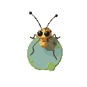 insect pond skater,top down view, no pixel, modern art