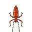 water strider insect, very realism, very detail