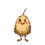 coconut happy