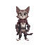 hero cat