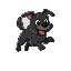 black cute dog, running, with tongue outside of it's mouth, happy faced
