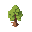 make a pinus elliottii and draw it from a top-down perspective