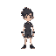 inseto 